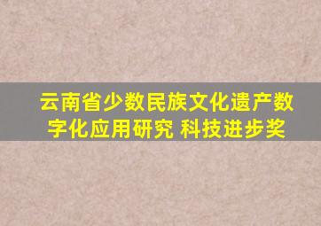 云南省少数民族文化遗产数字化应用研究 科技进步奖